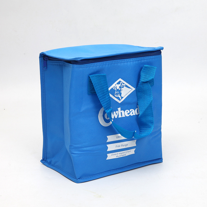 SGC30 Velkoobchod Levné propagační cena recyklovatelné vlastní logo tištěné potraviny Tote izolované chladicí taška